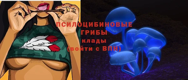 МДПВ Алзамай