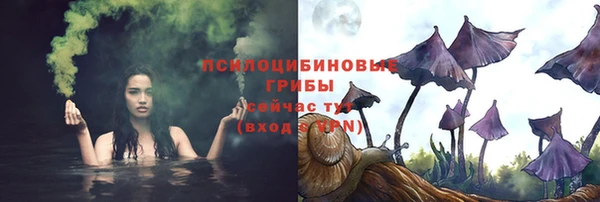 мет Нефтекумск