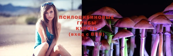 МДПВ Алзамай