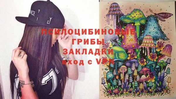 метадон Алексин