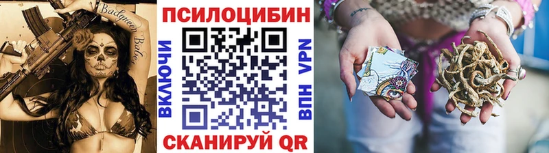 Псилоцибиновые грибы Psilocybe  Ханты-Мансийск 